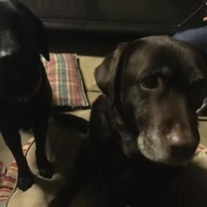 Meet your Posher, Ellen